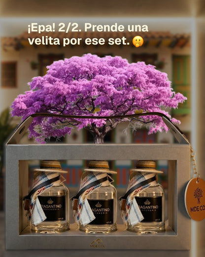 Lattafa Asad Bourbon