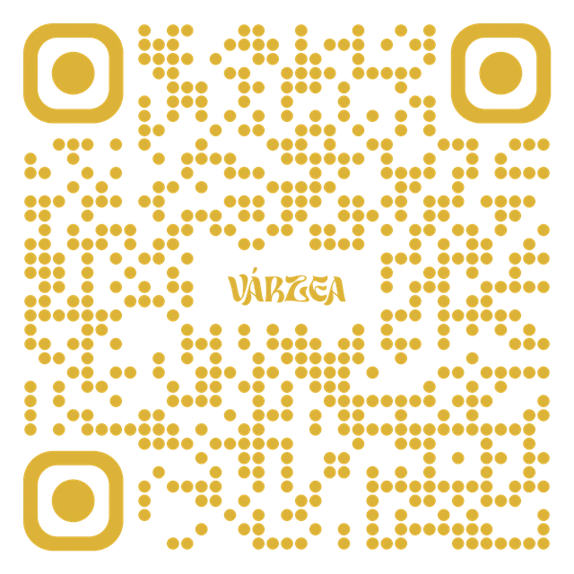 Código QR del Instagram de Várzea